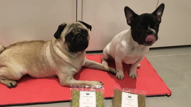 Two dogs with Lyka pet food pouches
