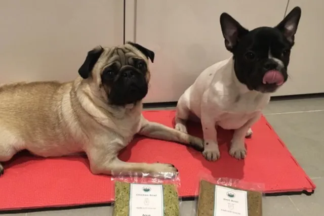 Two dogs with Lyka pet food pouches