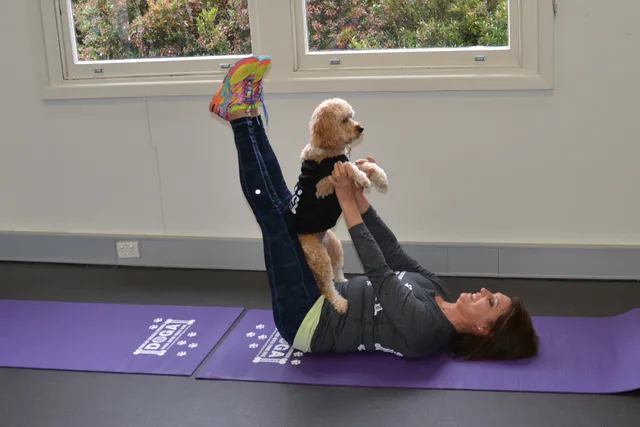 Doga: Yoga for Dogs