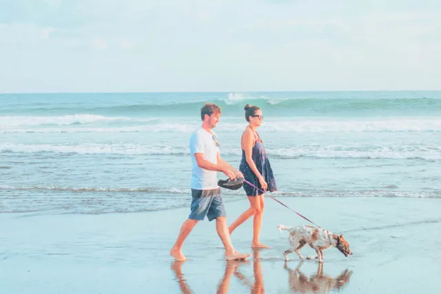 4 Dog beaches in Brisbane to take pupper to this summer