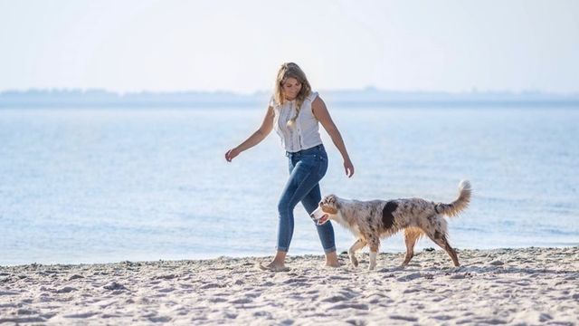 Woman and dog walking on beach