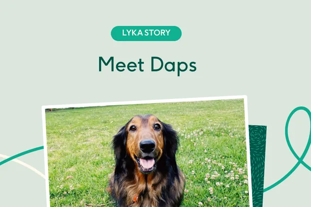 Daps the Dachshund outdoors smiling