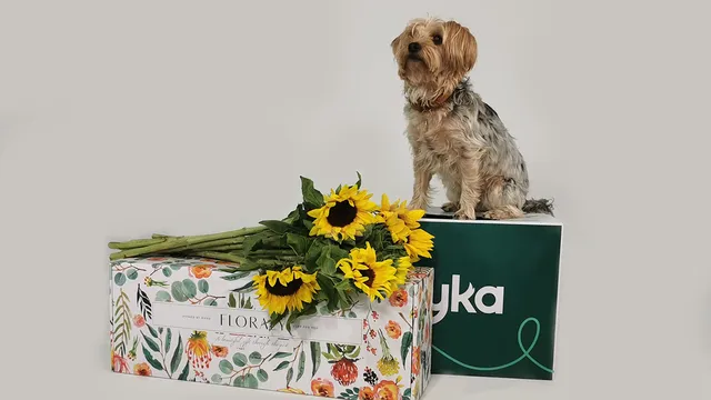 Your guide to dog-safe flowers for Mother's Day | Lyka Pet Food