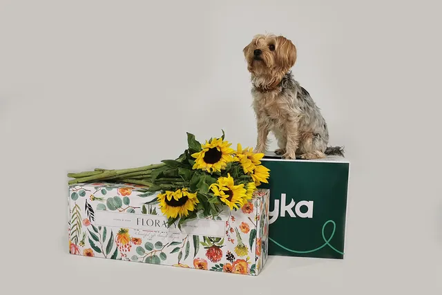 Your guide to dog-safe flowers for Mother's Day | Lyka Pet Food