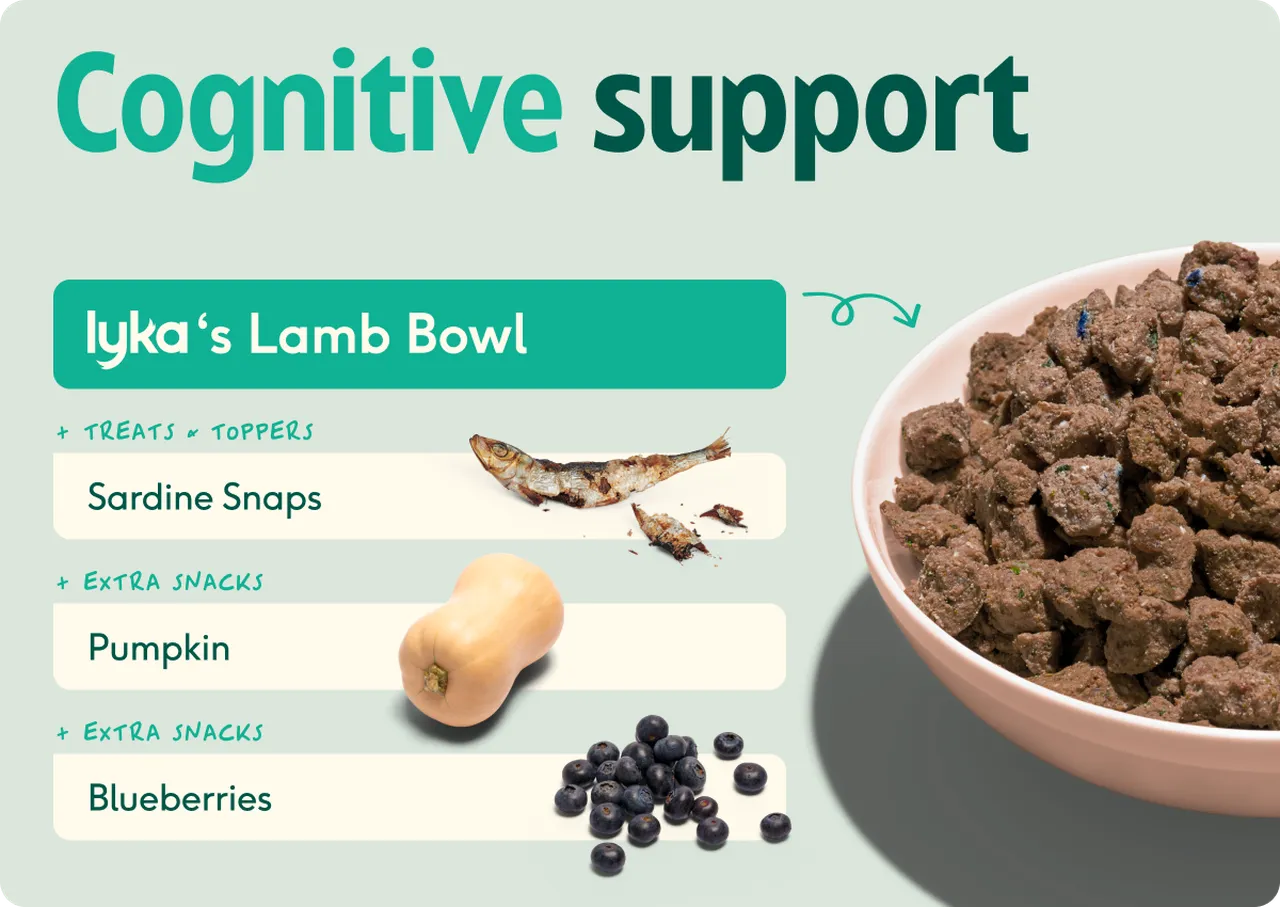 Build a bowl cognitive support