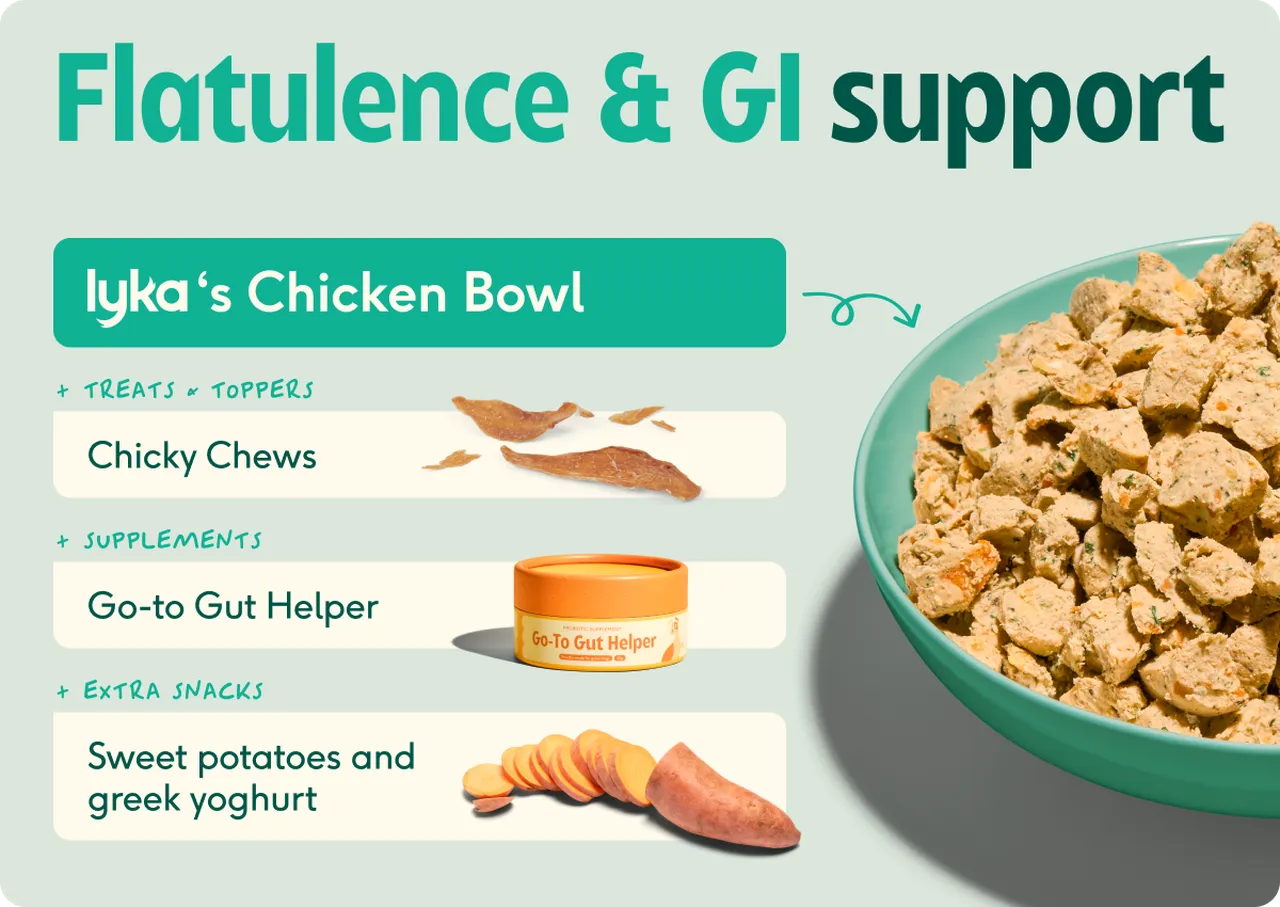 Build a bowl GI support