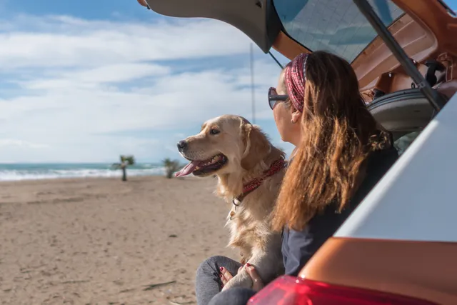 Woman and dog in car boot on beach