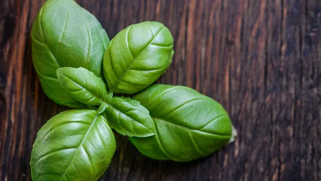 basil-flatlay