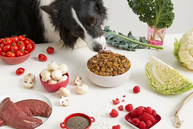 The safety, ethics & sustainability of our Roo Bowl | Lyka Pet Food