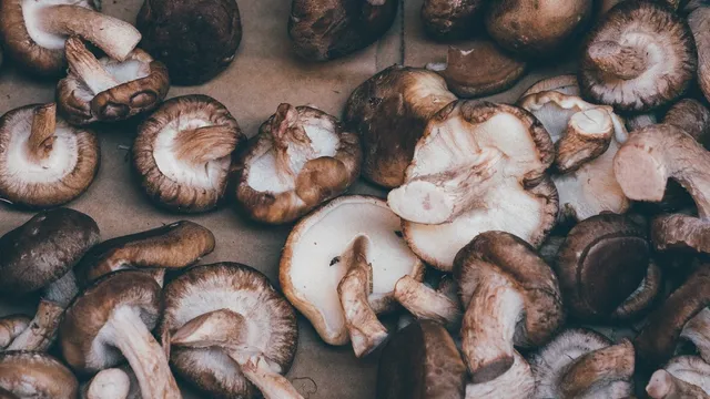 shiitake-mushroom-flatlay