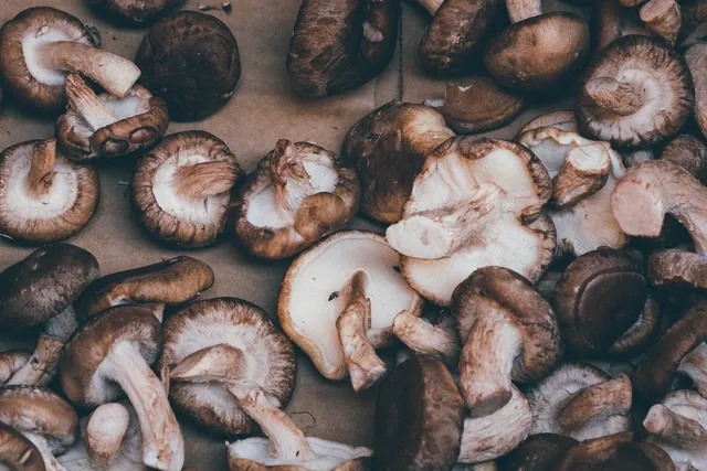 shiitake-mushroom-flatlay
