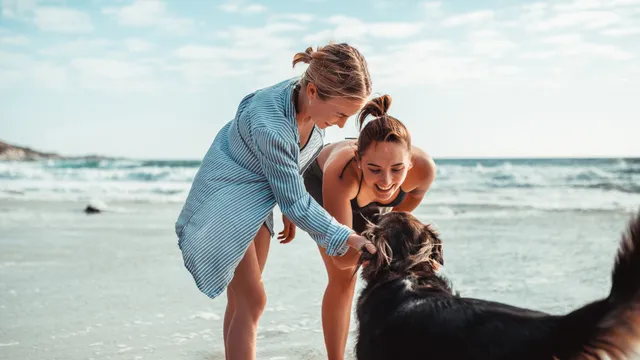Holiday vibes: A guide to our top dog-friendly spots in Australia