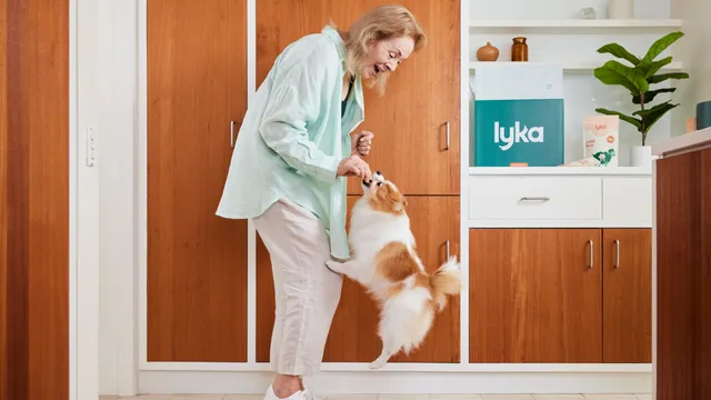 Woman giving treat to jumping dog