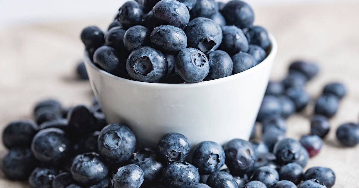 Can dogs eat blueberries Yes Here are the top health benefits Lyka Blog