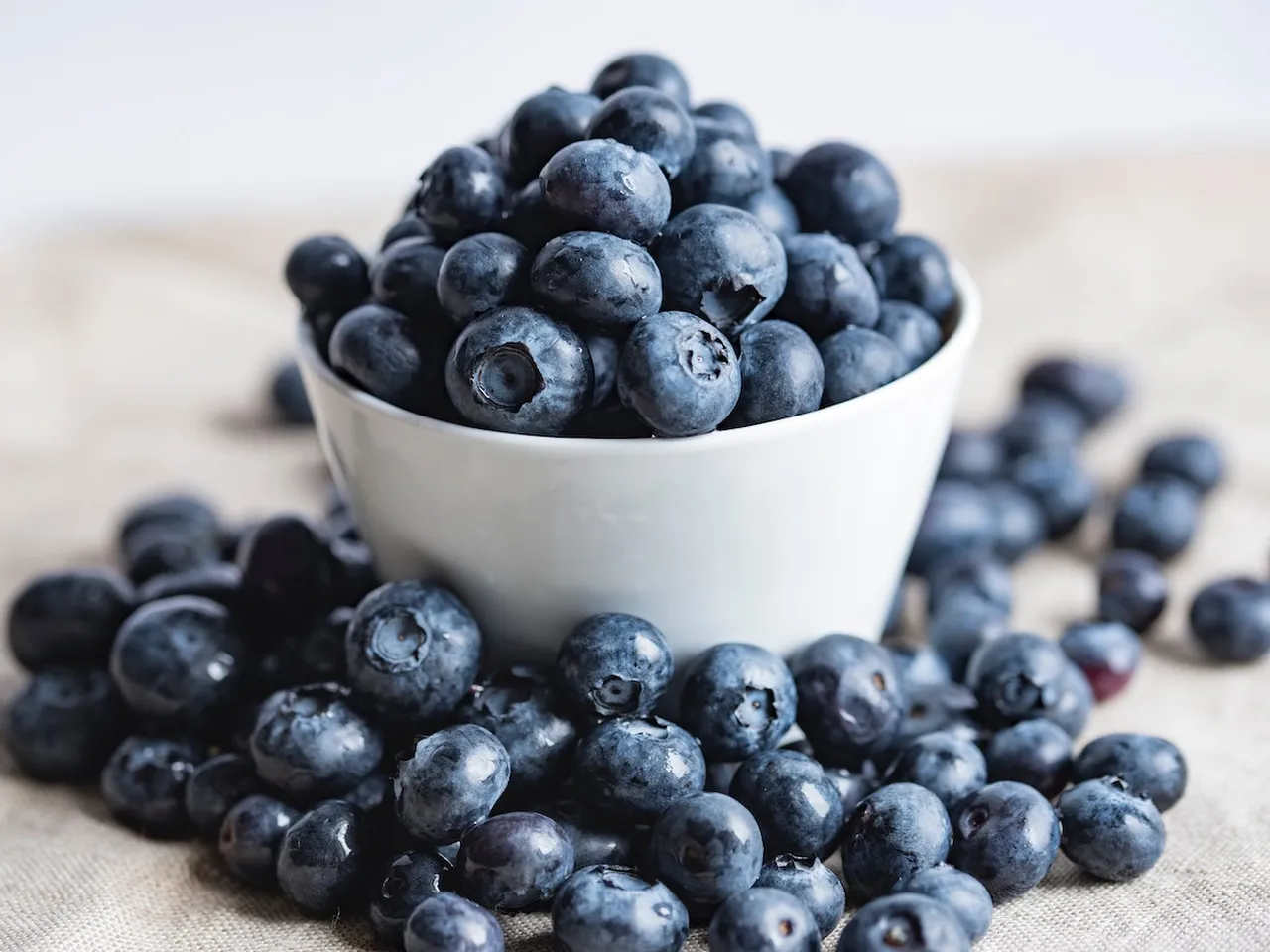 Bowl of fresh blueberries