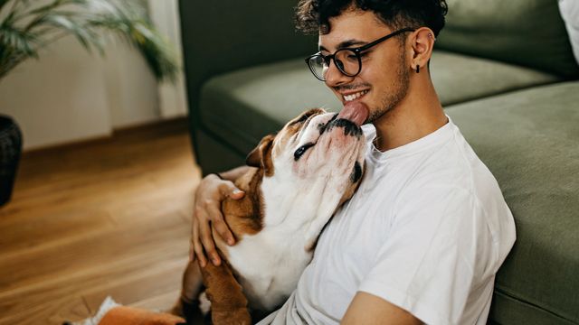 Dog licking young man