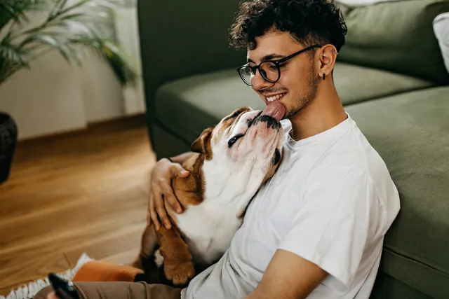 Dog licking young man
