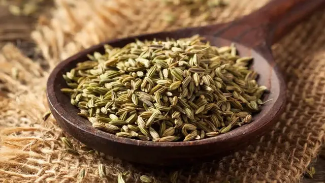 Fennel seeds on spoon