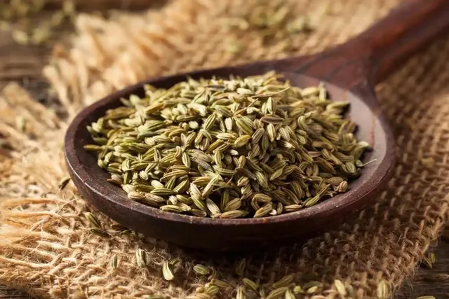 Fennel seeds on spoon