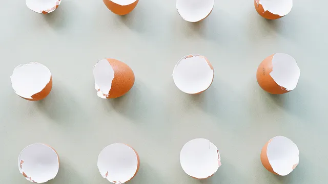 Eggshells