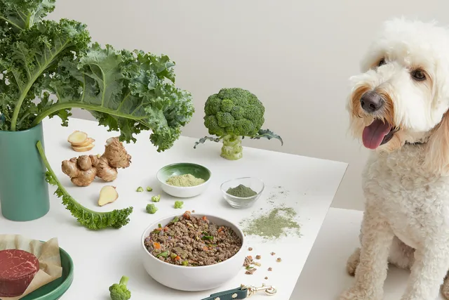 The benefits of spirulina for your dog | Lyka Pet Food