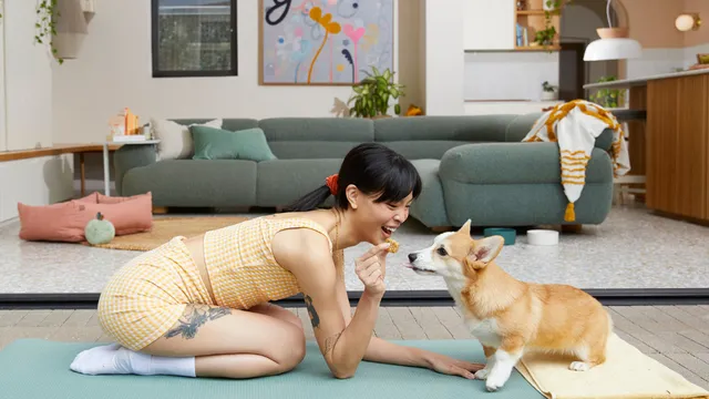 Woman feeding supplement to dog on yoga mat
