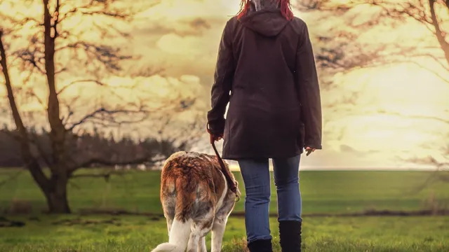 Woman and dog walking outside