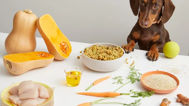 Brown Dachshund at table with Lyka and fresh ingredients
