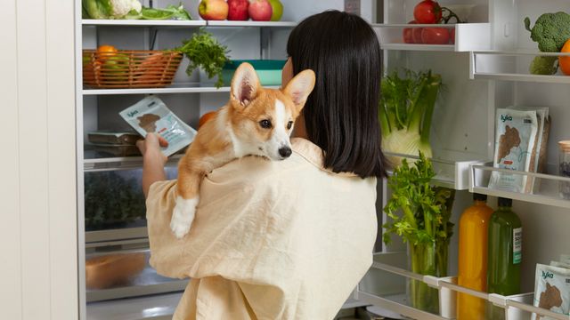 woman-looking-in-fridge-holding-corgie-and-lyka-meal-packet