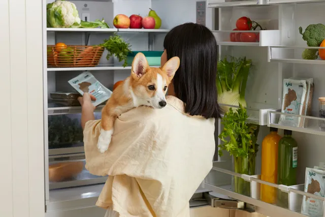 woman-looking-in-fridge-holding-corgie-and-lyka-meal-packet