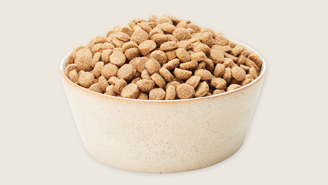 Bowl of kibble