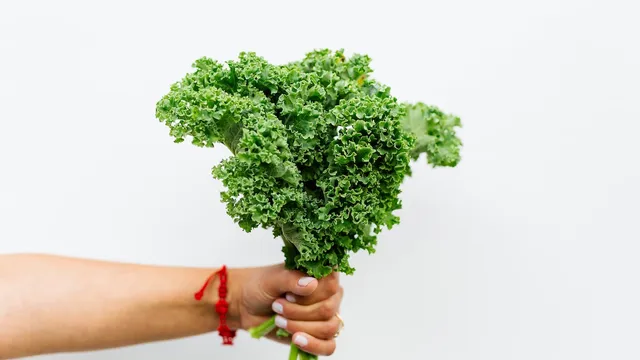 Kale: a nutritious superfood for your dog | Lyka Pet Food Journal