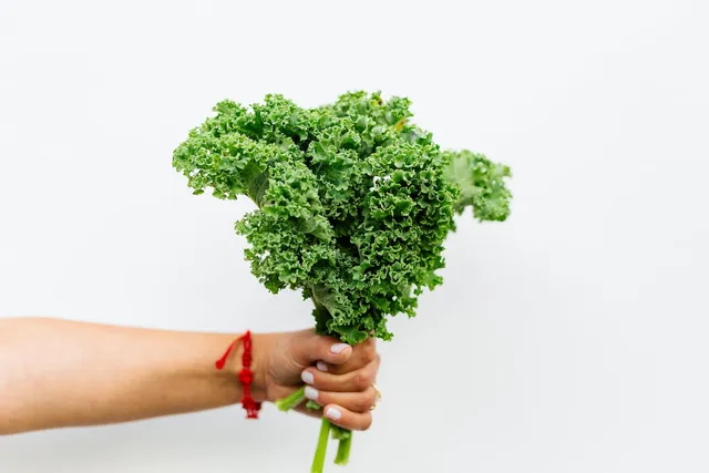 Kale: a nutritious superfood for your dog | Lyka Pet Food Journal