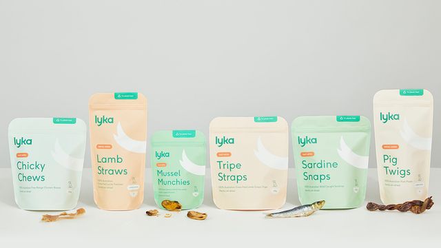 The inside scoop on our treats packaging | Lyka Pet Food Journal