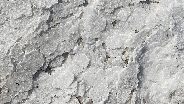 Celtic Sea Salt