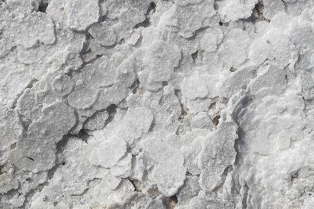 Celtic Sea Salt