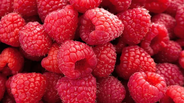 Fresh raspberries