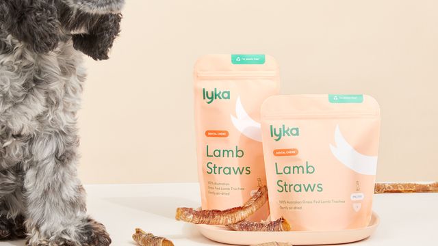 Dog-safe recipes to stuff inside your Lamb Straws | Lyka Pet Food