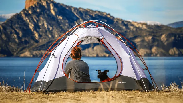 Get out of town: Dog-friendly campsites in Australia
