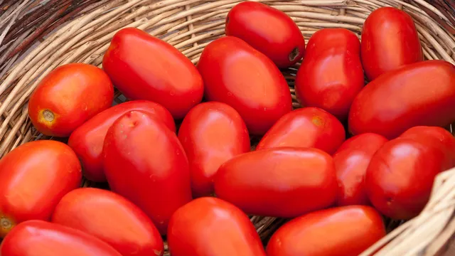 Basket of cherry tomatoes