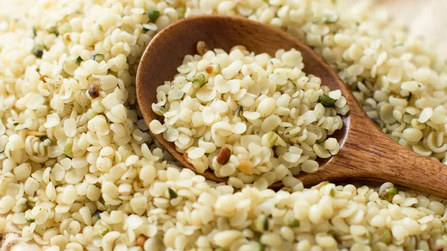 Hemp seeds: a mighty superfood for dogs