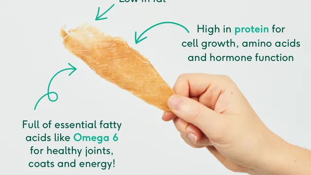 Chicken breast benefits