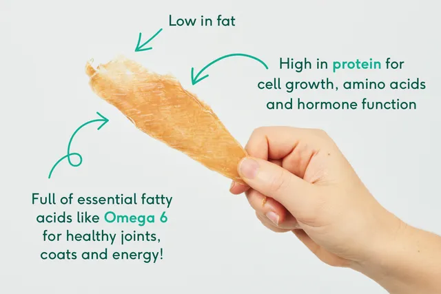 Chicken breast benefits
