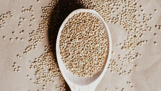 Spoon of quinoa