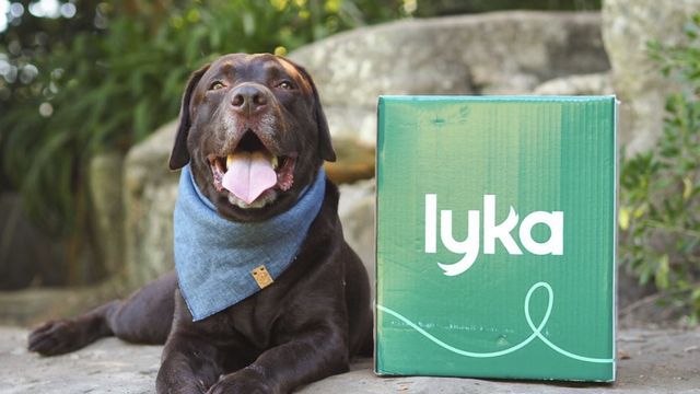 Creative ways to feed Lyka | Lyka Pet Food Journal