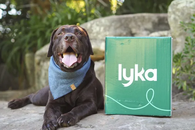 Creative ways to feed Lyka | Lyka Pet Food Journal
