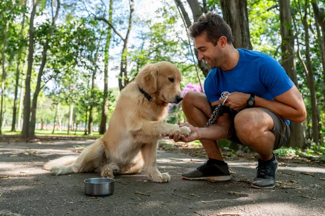 man shaking golden retriever's paw in park