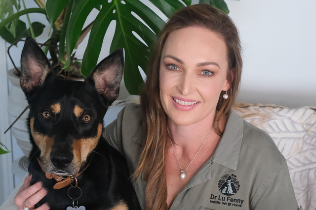 Meet Holistic Vet, Dr. Lu Fenny | Lyka Pet Food