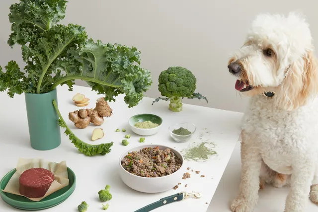 dog eating a bowl of Lyka beef real food surrounded by fresh produce