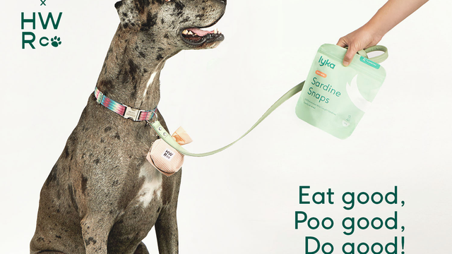 From chew to poo: Why fresh is best for the planet and your dog’s Number Twos | Lyka Pet Food